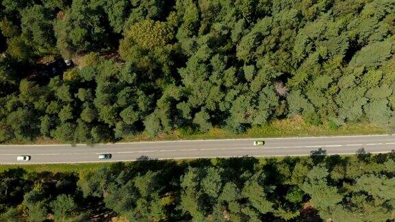 鸟瞰图的白色汽车行驶在乡村道路在森林鸟瞰图一个美丽的野生动物在野外驾驶无人机沿着公路飞行森林道路上的运输交通空中飞过树林