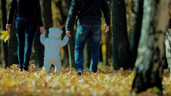 秋日快乐的一家人在公园散步后视图
