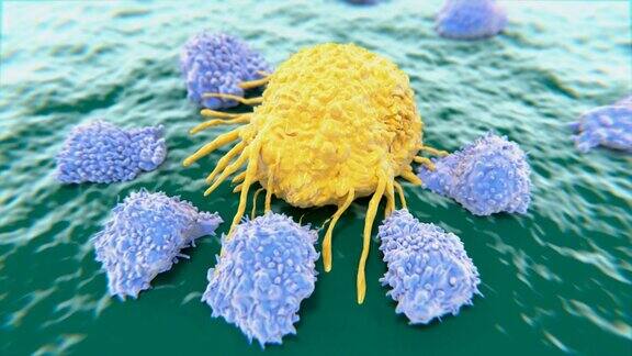 癌细胞被细胞毒性T细胞摧毁