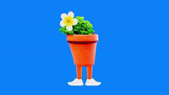 现代动画设计花盆里有趣的花