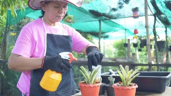 亚洲高级美女在她的室内花园种植植物和喷洒水在他