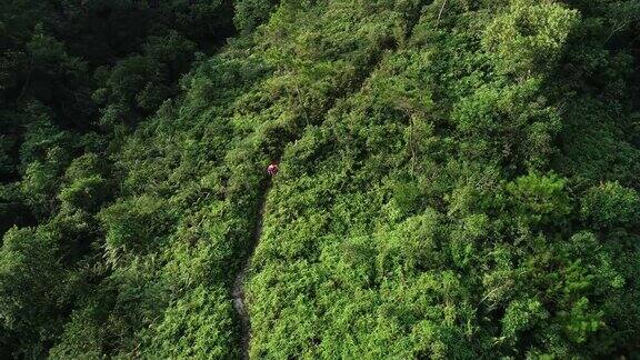 鸟瞰图的女人超级马拉松赛跑累了在热带雨林的山坡上休息4k