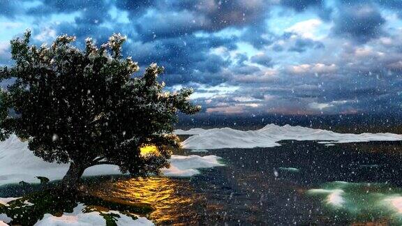 海边的雪和一棵树