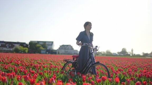 在荷兰的郁金香田里骑自行车的女人
