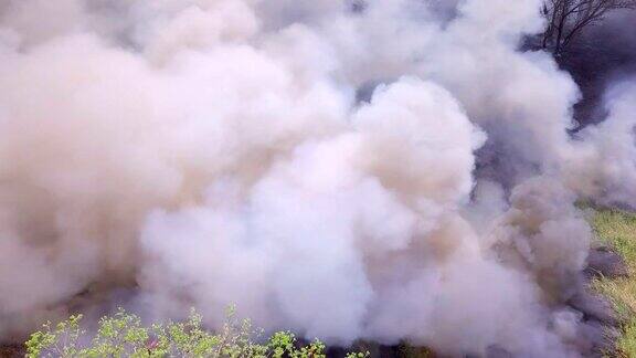 森林大火正在燃烧