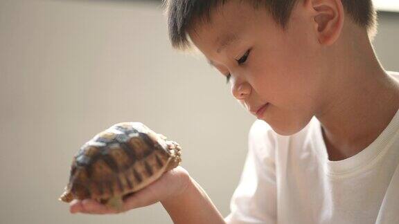 亚洲小孩和他的宠物乌龟玩友谊