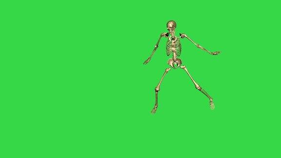 3d动画的骨架棒球铅分离在绿色屏幕