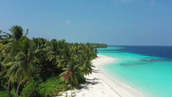 美丽的热带海滩棕榈树和白沙