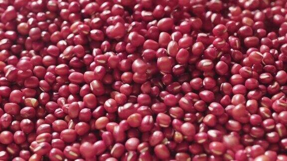 生红小豆有机种子食品蛋白质健康食品