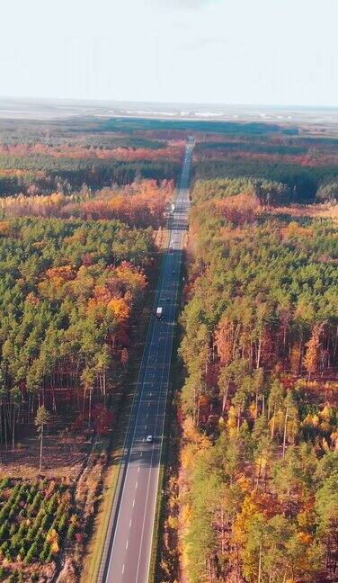汽车穿过秋天的森林垂直视频沿着森林行驶的汽车