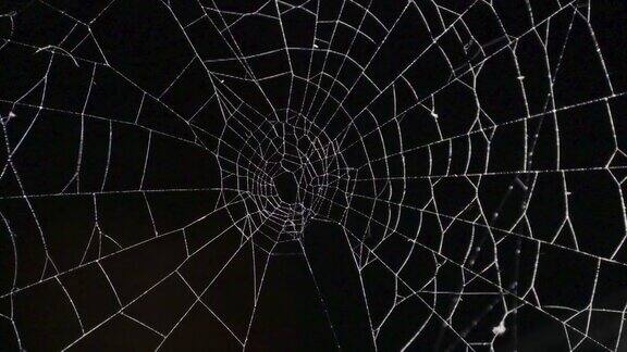 黑暗背景上可怕的摇摇晃晃的蜘蛛网