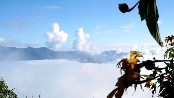 在泰国清迈的山和山的雾移动的景观