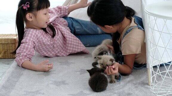 两个小女孩和小猫一起玩可爱而有趣的友谊