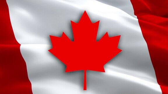 加拿大国旗加拿大国旗的背景在风中飘扬红色枫叶旗特写1080p高清视频加拿大国庆日蒙特利尔1080p全高清1920X1080镜头视频挥舞加拿大无缝连续视频