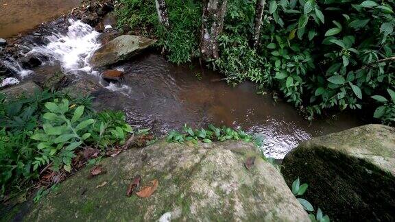 4KWS摄影拍摄热带雨林的自然溪流