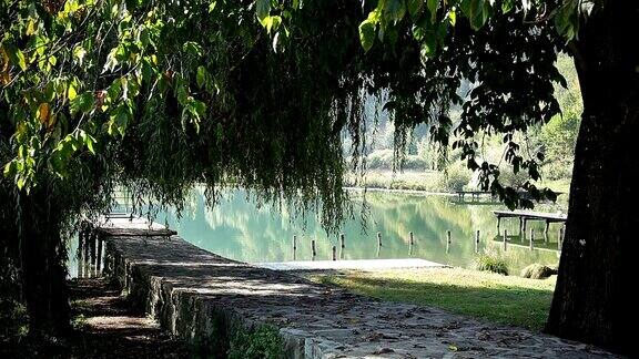 有柳树和码头的池塘