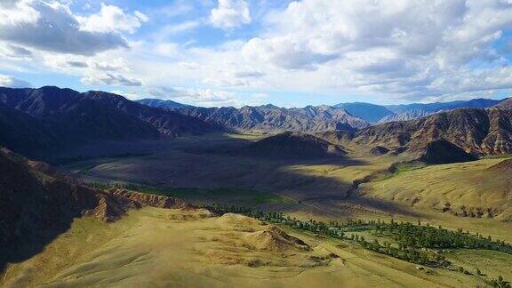 蒙古沙漠中的一群双峰驼俯视图