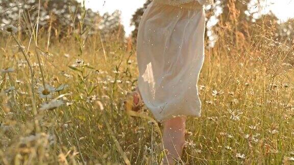 小女孩在高高的草丛中向着太阳奔跑