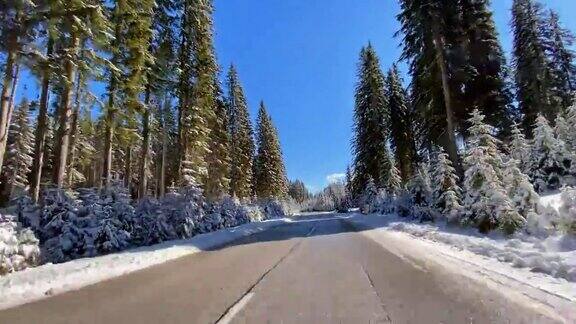 冬天在白雪皑皑的森林里行驶在空旷的道路上