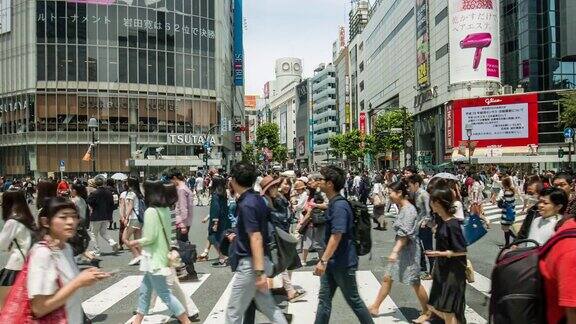 东京涉谷十字路口的实时视频