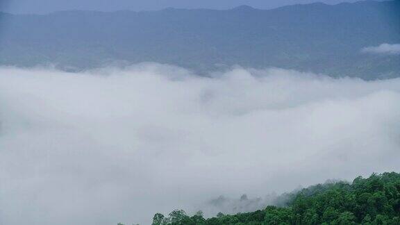 时间流逝近距离的雾移动在绿山在富士帕山