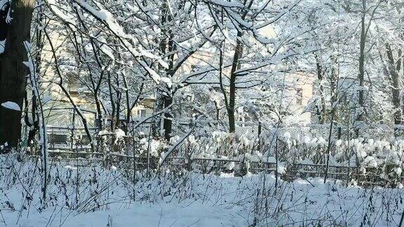 冬天的老院子里覆盖着雪