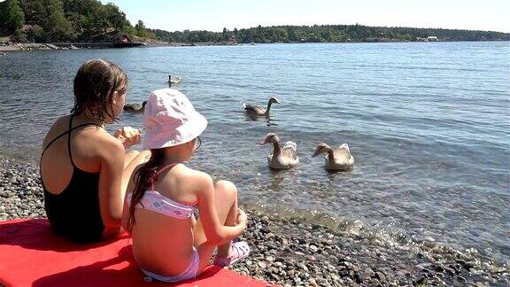两个小女孩在海滩上喂野鹅
