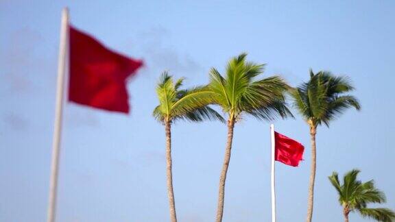 蓝天和椰子树背景上的红旗