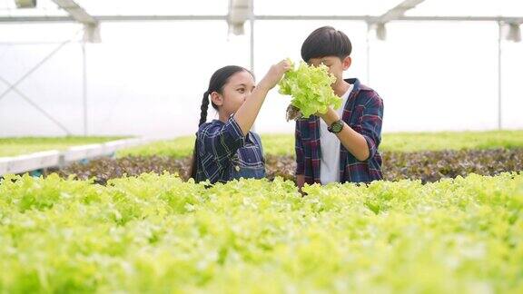 男孩和女孩一起在温室花园学习水培知识