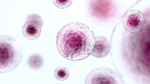 干细胞免疫疗法干细胞漂浮动画