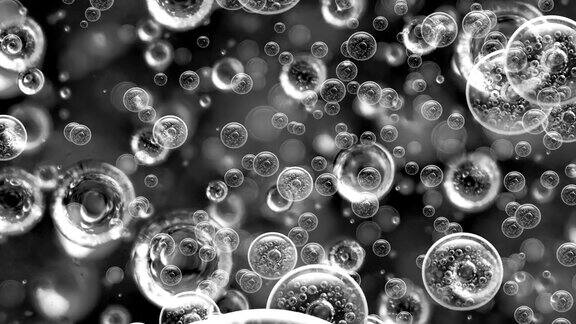 黑色和白色的气泡上升黑色背景与气泡内的液体项目与液体