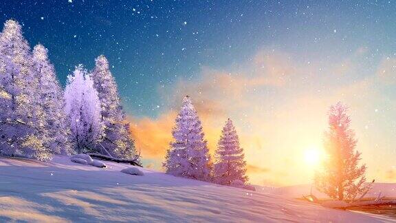 雪景冬季景色在风景优美的日落