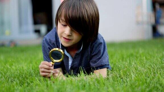 十几岁的孩子男孩用放大镜探索在草地上看瓢虫