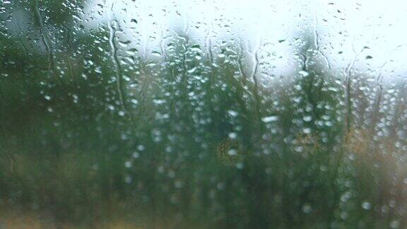 雨后湿窗高清视频