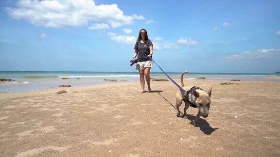 被截肢的盲狗与主人在海滩上散步
