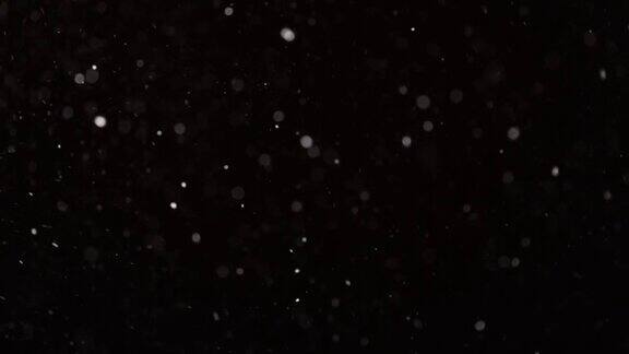 真正的飘落的雪孤立在黑色背景4K慢动作镜头合成运动图形大和小雪雪花孤立的雪花