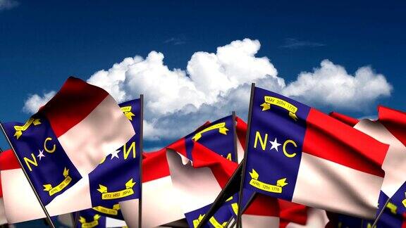 挥舞着北卡罗来纳州的州旗