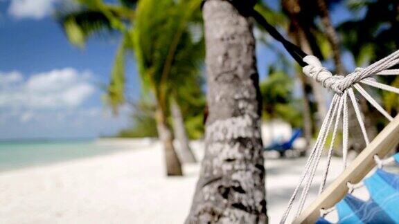蓝色吊床在热带海滩上摇摆的特写