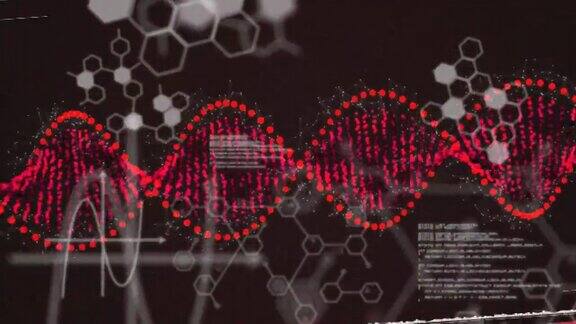 动画科学数据处理的dna链纺丝