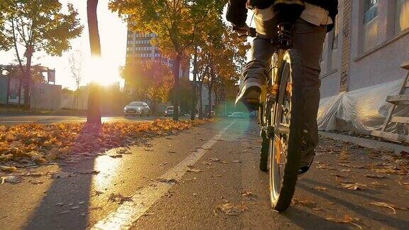 在美丽的秋日日落中骑行穿过公园