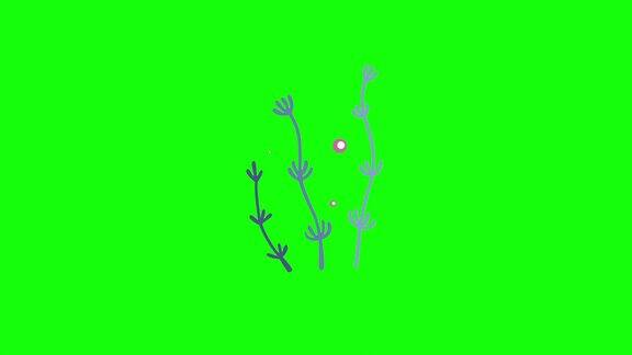绿色背景上蓝藻的4k垂直视频