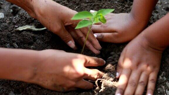 男孩种一棵新树概念拯救地球拯救世界拯救地球生态概念