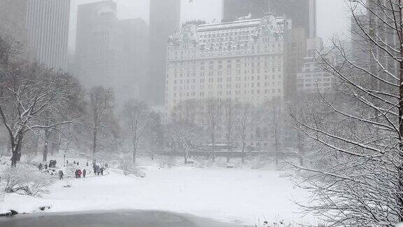 纽约中央公园的冬季降雪