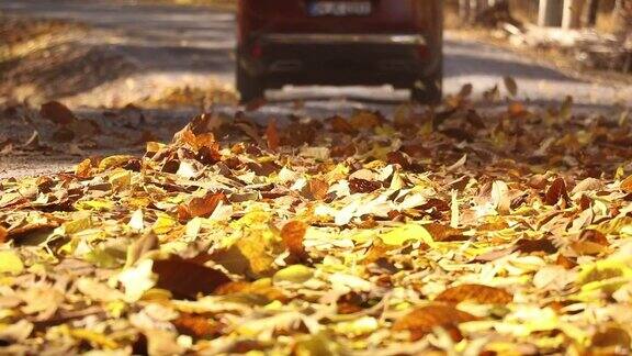 五彩缤纷的秋叶后面一辆汽车飞驰而过