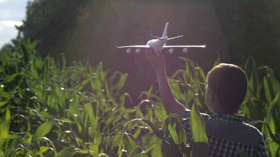 小男孩在玉米地里玩玩具飞机