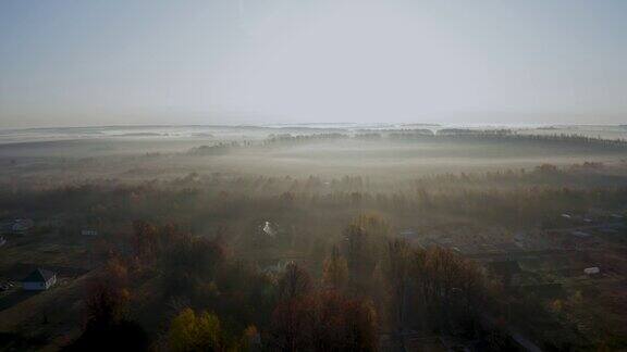 秋天的风景晨雾升起在田野、草地和成行的树木上在晨雾中驾驶四轴飞行器迎接太阳