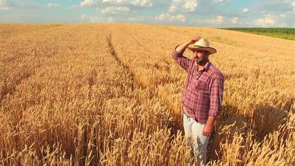 CraneShot:农民站在麦田里看向别处