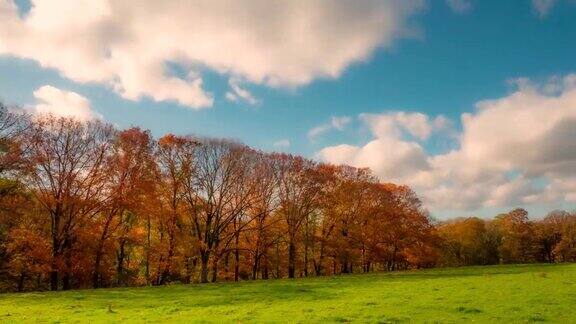 美丽的秋日森林和蓝天时间流逝