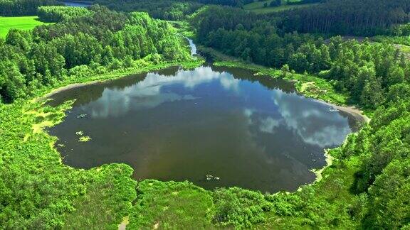 夏天森林里的湖波兰鸟瞰图