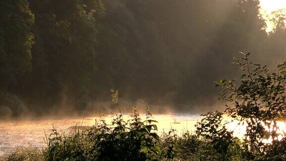 河边美丽的早晨